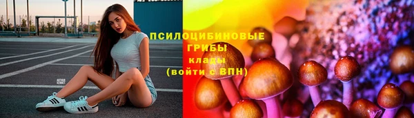 спайс Алексеевка