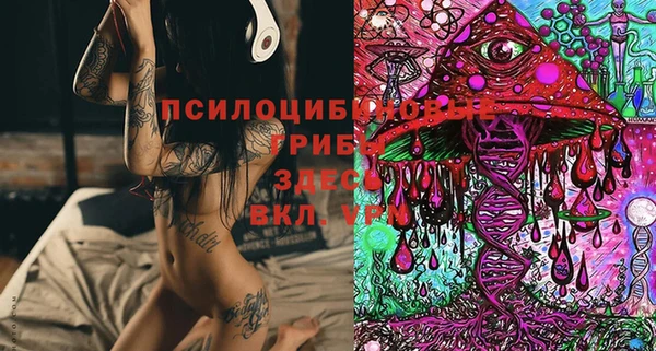 крисы Алексин