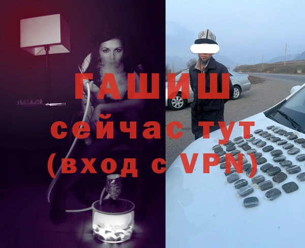 прущий лед Алзамай