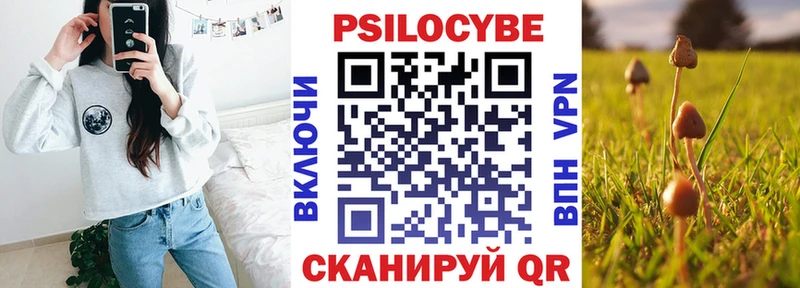 блэк спрут вход  цена   Якутск  Псилоцибиновые грибы прущие грибы 